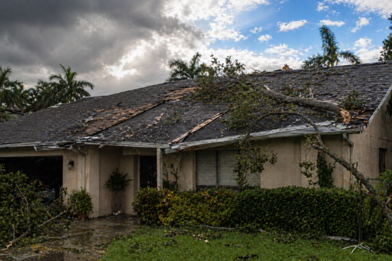 Hurricane & Storm Damage Roof Repair in Florida What to Do First (2026)
